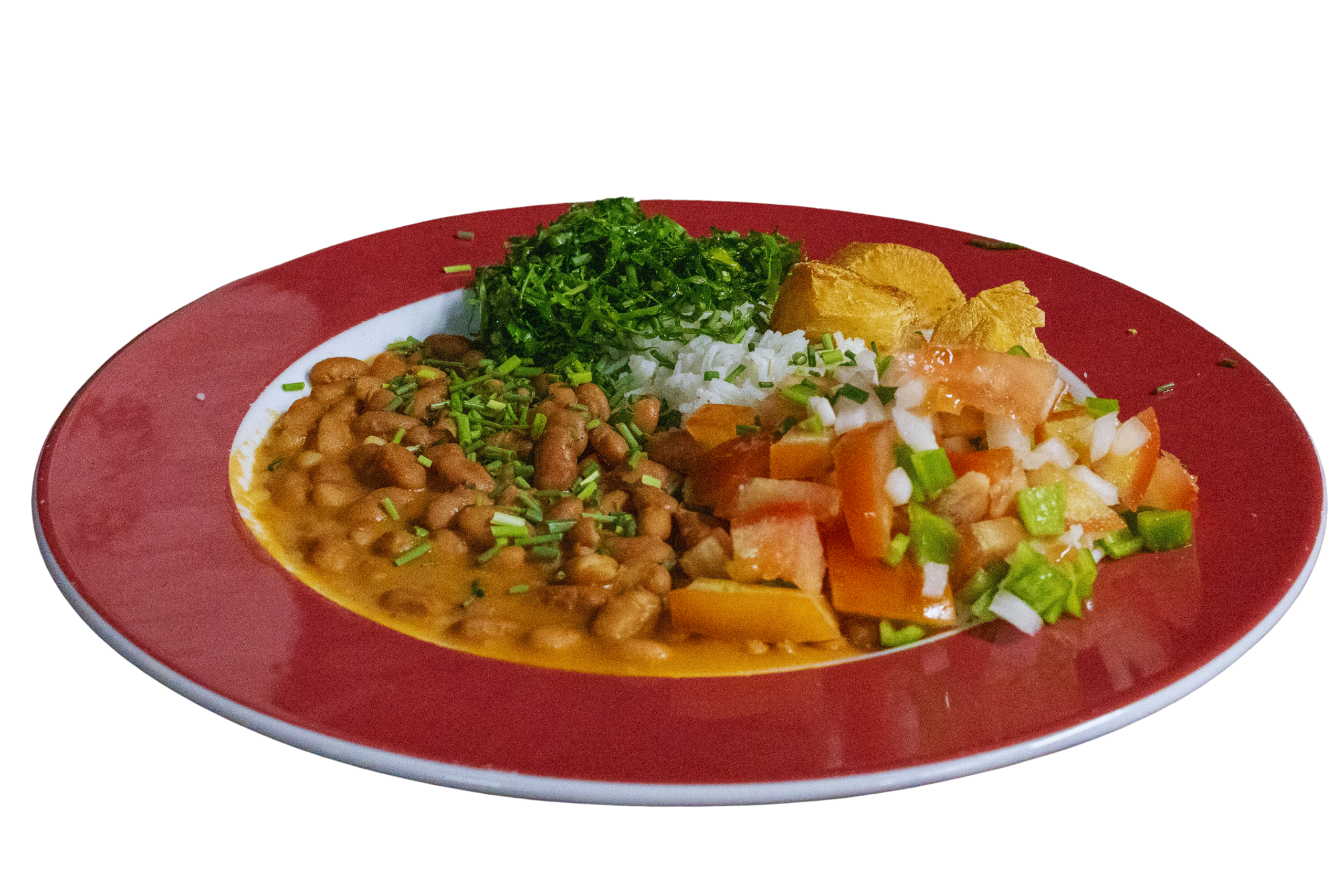 PLATO VEGANO